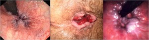Picture1