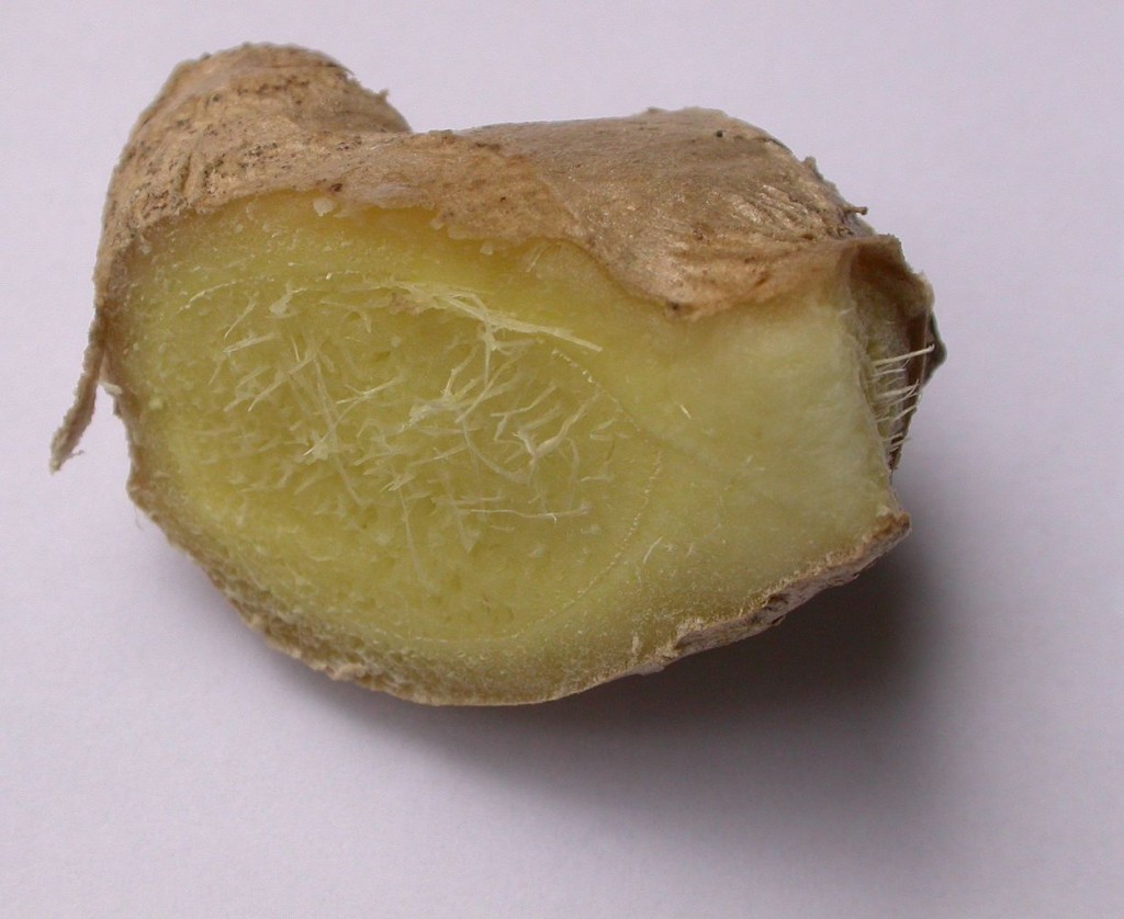 ginger